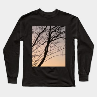 bare branch of tree after sunset Long Sleeve T-Shirt